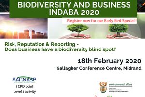 Indaba-Social-Media-1
