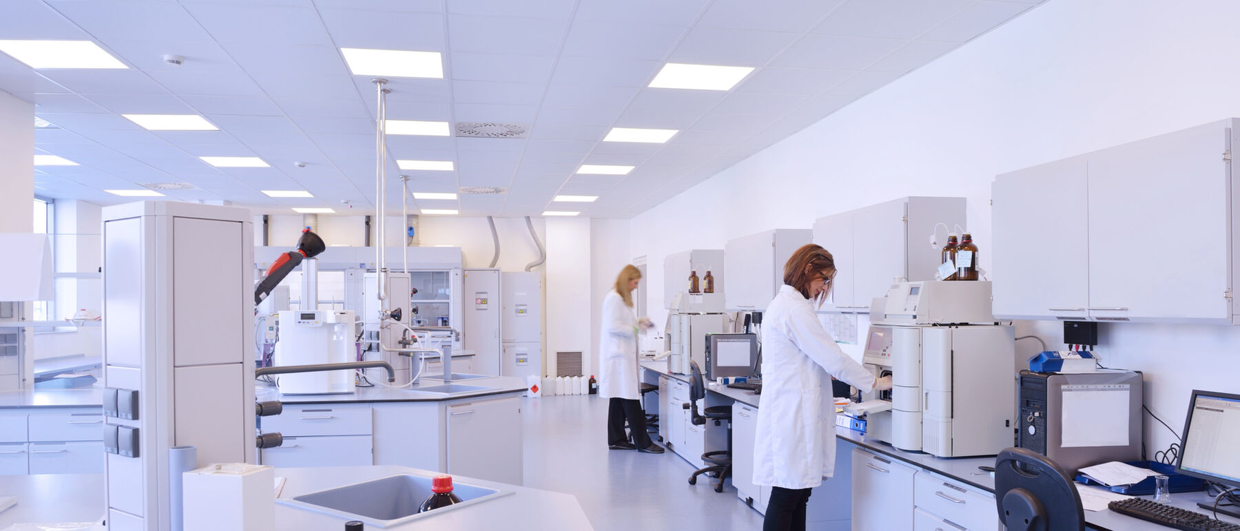Scientists in lab