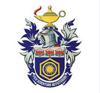 The South African Chemical Institute